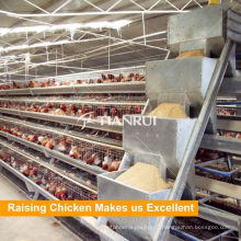 Прямая продажа птицефабрики систему автоматического кормления для курица клетке